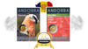 2-Euro Andorra 2025 – Bartgeier & Spiele jetzt entdecken. 2 Euro Andorra, Bartgeier, Kleistattenspiele, Spiele, 2025, roger, poetz, münzen, Coincard