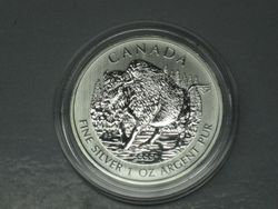 Kanada 5 $ Bison 2013 Silber 1 Unze Kanada 5 $ Bison 2013 Silber 1 Unze